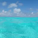 石井 あかねのプロフィール画像