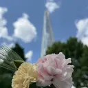 🩶 ちー🩶のプロフィール画像