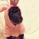 田中 美穂のプロフィール画像