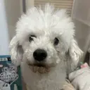 ✨傷ませないカラー✨ Ryuのプロフィール画像