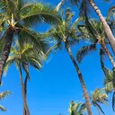 ena 恵比寿のプロフィール画像