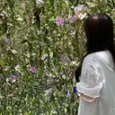 SourCil コレド日本橋のプロフィール画像