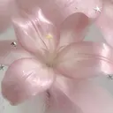 Yuueye KOKOROのプロフィール画像