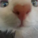 田代 怜のプロフィール画像