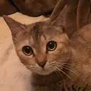 佐 野のプロフィール画像