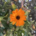 大阪/堀江/ いわもと　りゅうやのプロフィール画像