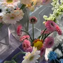 🌷マツエク・マツパ 専門店シルフ🌷のプロフィール画像