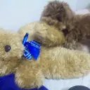 S 咲🌟のプロフィール画像