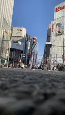 阿部 くまのプロフィール画像