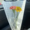 milla Tanakaのプロフィール画像