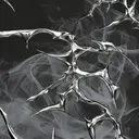 shuse /艶カラー  栄のプロフィール画像