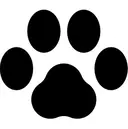 kikinail 溝の口のプロフィール画像