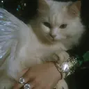 中目黒eyelist yuri💍のプロフィール画像