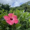 yanai yukoのプロフィール画像