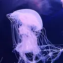 木本 陽菜のプロフィール画像