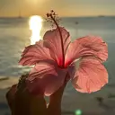 shell kanadeのプロフィール画像