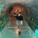 Chika -Luminous-のプロフィール画像