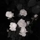 髙田 夢華のプロフィール画像