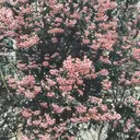 salon luxiaのプロフィール画像