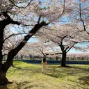 松田 唯叶のプロフィール画像