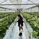 Airi 🌷Makea福岡のプロフィール画像