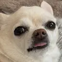 磯部 哩名のプロフィール画像