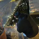 美髪 透明感カラーSotaのプロフィール画像