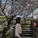 君塚 真子のプロフィール画像