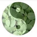 HARRY.Q 二子はりきゅう治療室のプロフィール画像