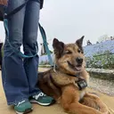 韓国束感エクステ 🧸MEMEのプロフィール画像