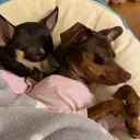 小宮 美羽のプロフィール画像