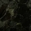 palemoon HIMARI🦥🍃のプロフィール画像