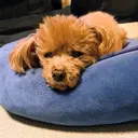 Salon de with根本博史のプロフィール画像