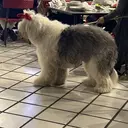 石川 穂波のプロフィール画像