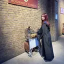 Angelica Itoのプロフィール画像