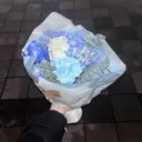 佐藤 千歳のプロフィール画像