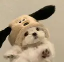 ibelu梅田 谷のプロフィール画像