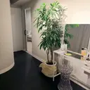 Babel 〜都度払いサロン〜のプロフィール画像