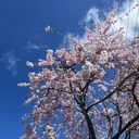 土屋 れいなのプロフィール画像