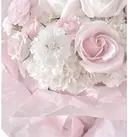 Princess Rose 富士店¨̮のプロフィール画像