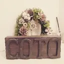 coto eyeのプロフィール画像