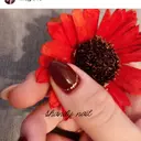shandy nailのプロフィール画像