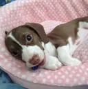 sato yunaのプロフィール画像