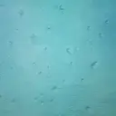 nao のプロフィール画像