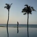 terra miiのプロフィール画像