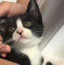 安藤 七海のプロフィール画像