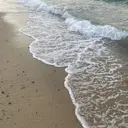 NISHIYAMA WAKIのプロフィール画像