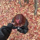 y’sbeauty ⭐️akaneのプロフィール画像