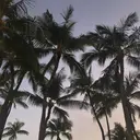 銀座/LEDマツエク 高宮のプロフィール画像