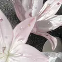 rii / and...Aのプロフィール画像